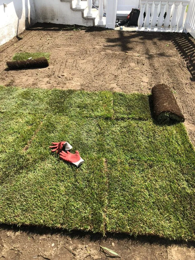 Affordable yard cleanup service for year-round maintenance across Hackensack, NJ - Wilson Home Improvement & Landscape