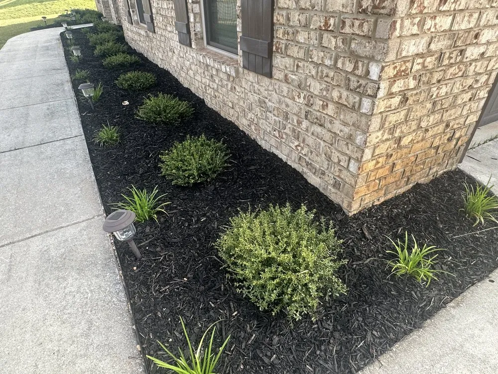 Reliable lawn mowing service in Daphne, AL by Wilson Landscape and Lawn Service