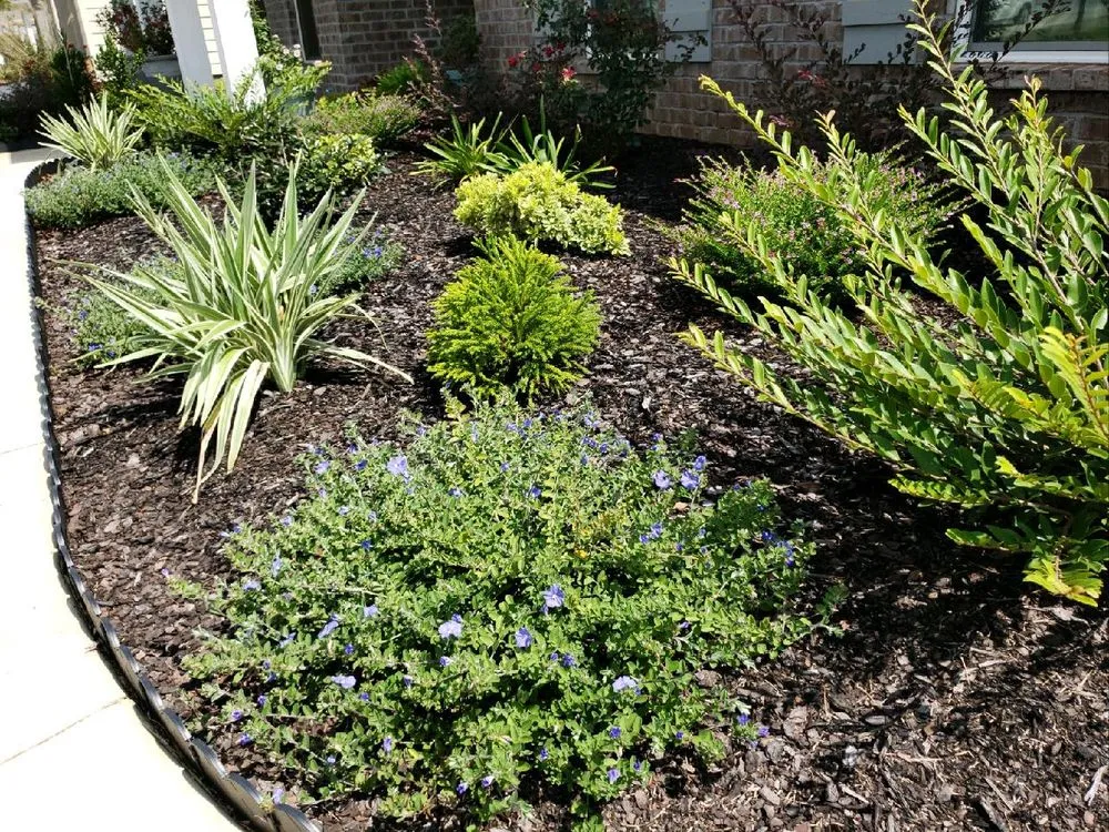 Trusted outdoor landscaping experts serving Daphne, AL - Wilson Landscape and Lawn Service