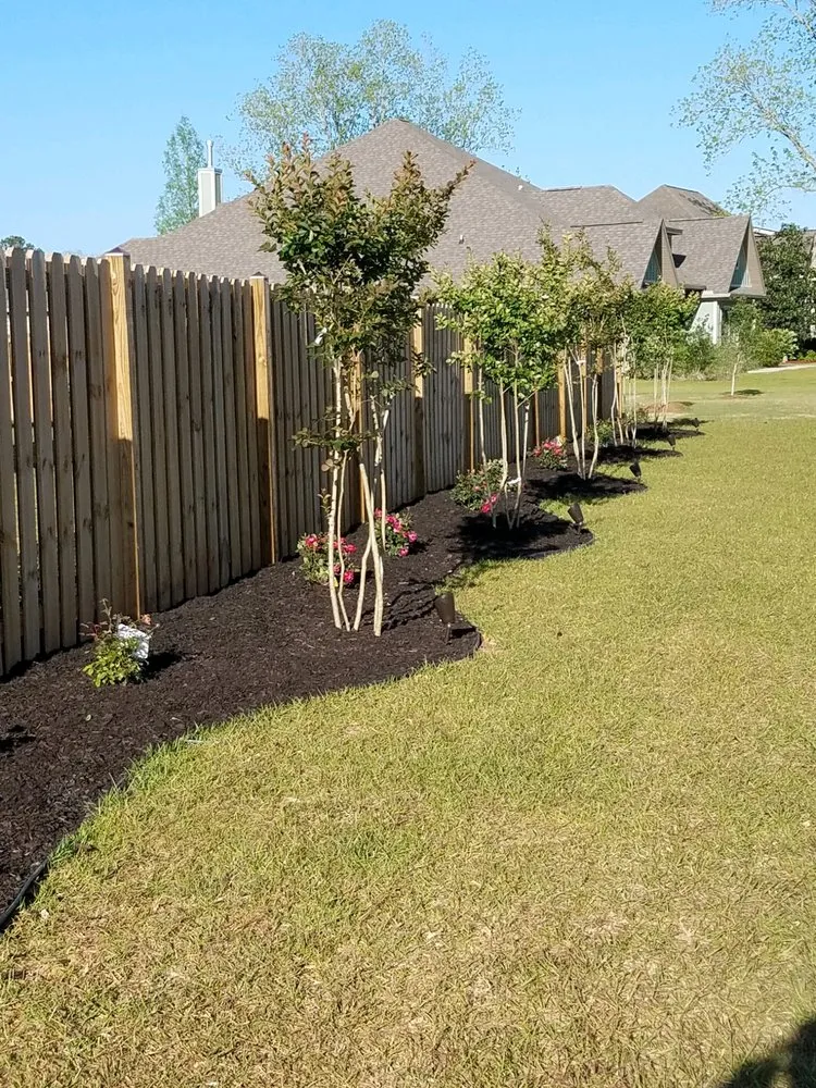 Trusted yard cleanup service in Daphne, AL by Wilson Landscape and Lawn Service