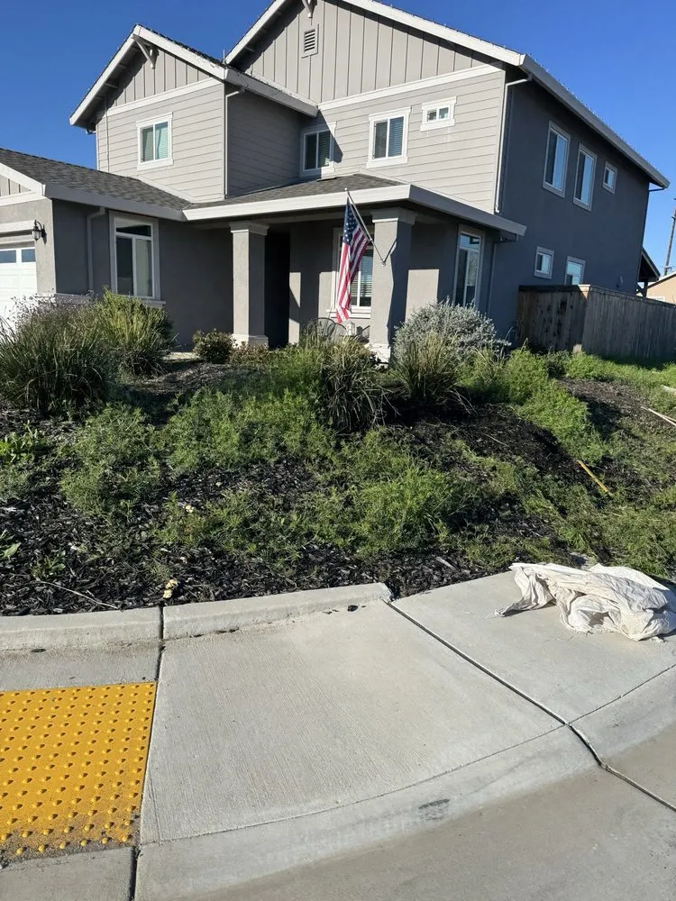 Affordable landscaping services for residential properties across Citrus Heights, CA - Wilson Landscape