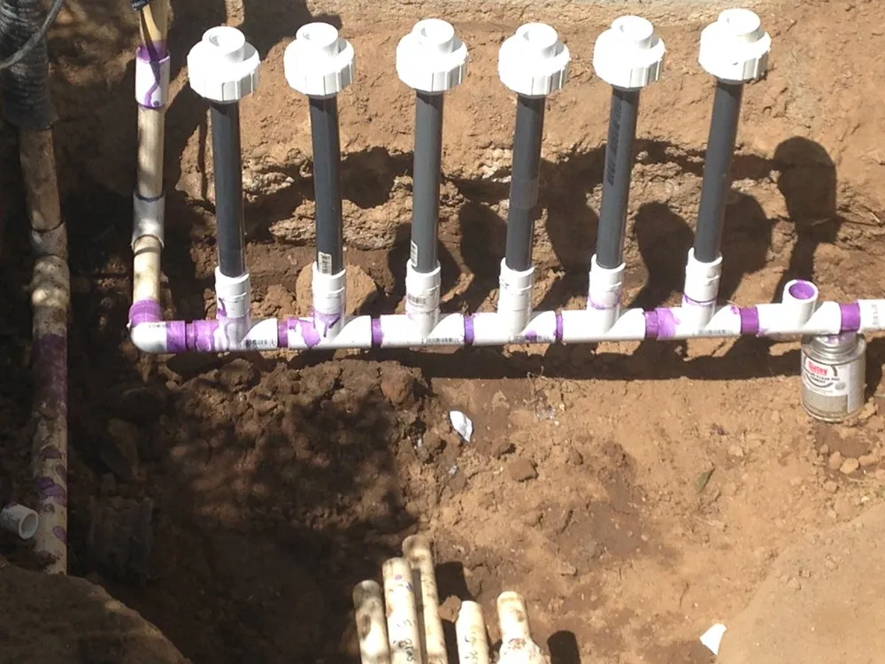 Expert lawn care service for year-round maintenance across Citrus Heights, CA - Wilson Landscape