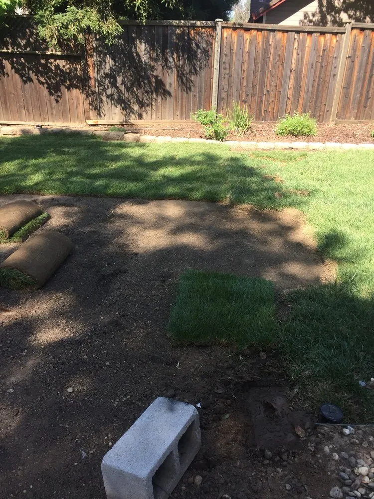 Trusted lawn mowing service experts serving Citrus Heights, CA - Wilson Landscape