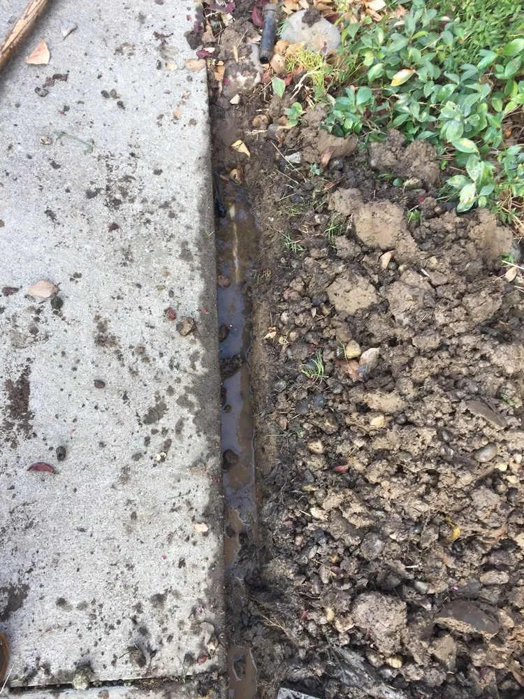 Affordable yard cleanup service for beautiful yards across Citrus Heights, CA - Wilson Landscape