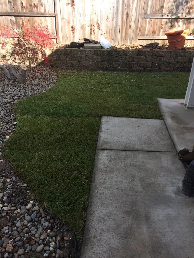 Custom outdoor landscaping for outdoor upgrades across Citrus Heights, CA - Wilson Landscape