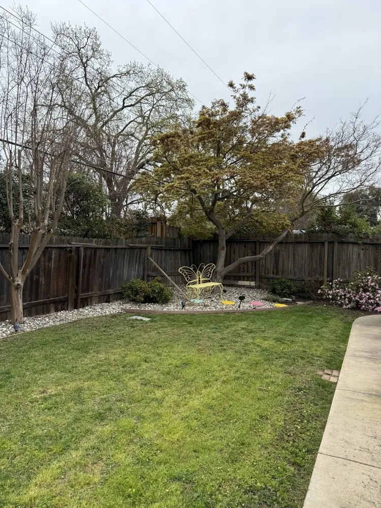 Professional yard maintenance experts serving Citrus Heights, CA - Wilson Landscape