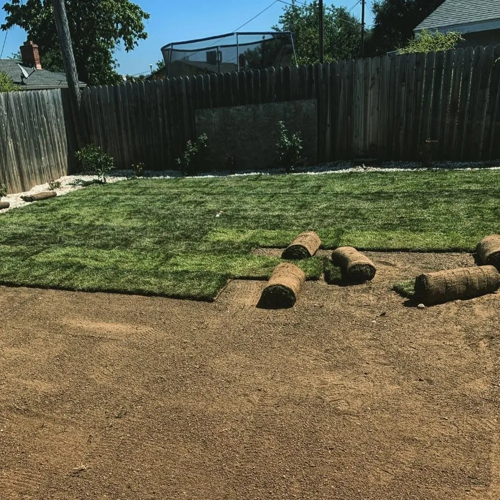 Expert yard cleanup service in Citrus Heights, CA by Wilson Landscape