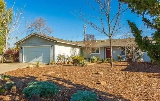 Expert outdoor landscaping experts serving Citrus Heights, CA - Wilson Landscape