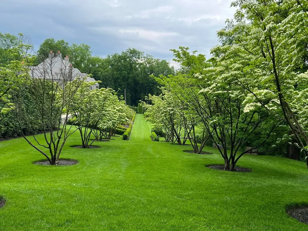 Trusted landscape installation with custom design in Danbury, CT by Wilson Landscape