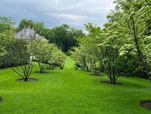 Wilson Landscape Logo