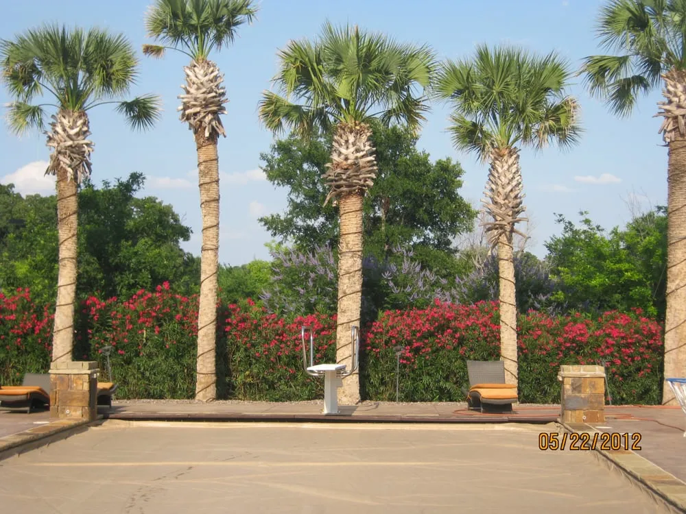 Trusted outdoor landscaping in Lewisville, TX - Wilson Landscape Design