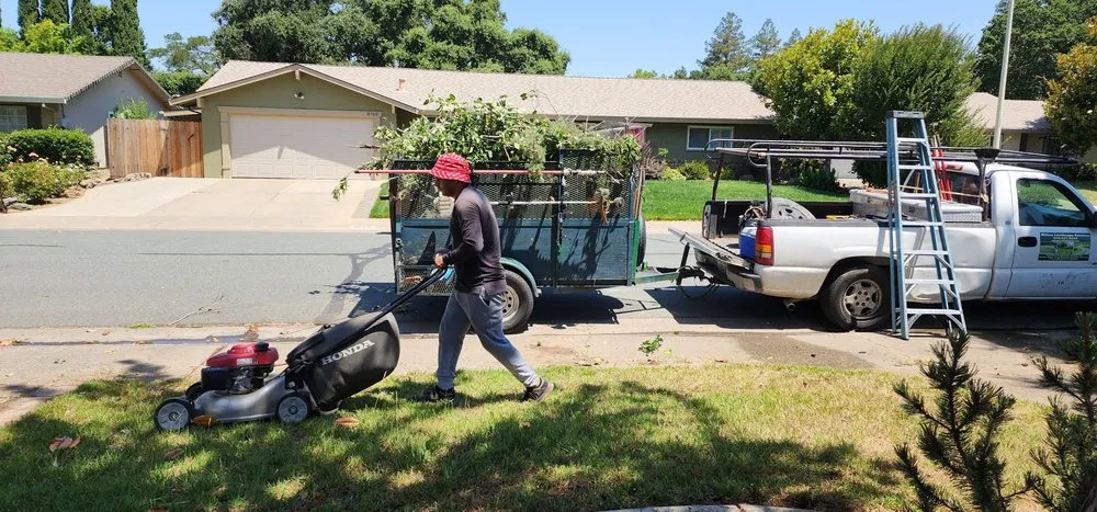 Local residential landscaping in Sacramento, CA - Wilson Landscape Maintenance Services