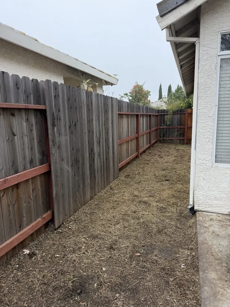 Affordable yard cleanup service experts serving Sacramento, CA - Wilson Landscape Maintenance Services