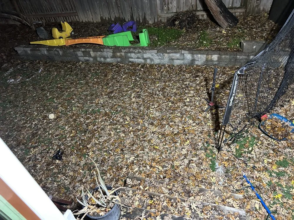 Affordable outdoor landscaping for homes across Sacramento, CA - Wilson Landscape Maintenance Services