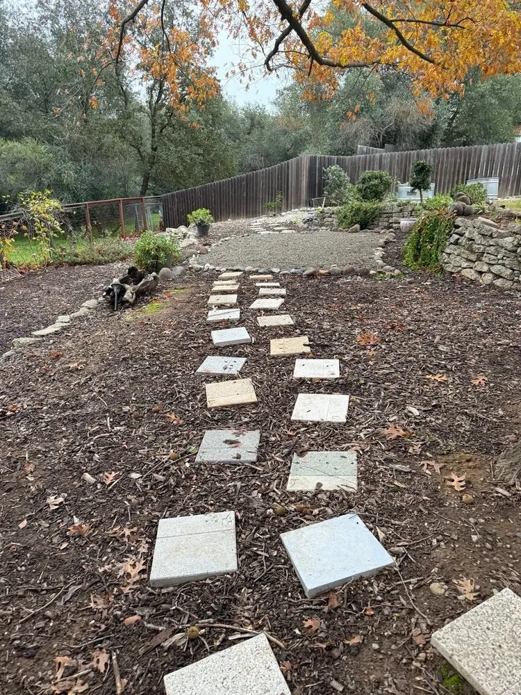 Expert lawn mowing service for year-round maintenance across Sacramento, CA - Wilson Landscape Maintenance Services