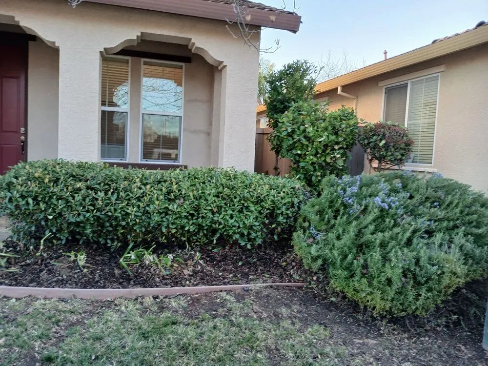 Custom landscape installation in Sacramento, CA - Wilson Landscape Maintenance Services