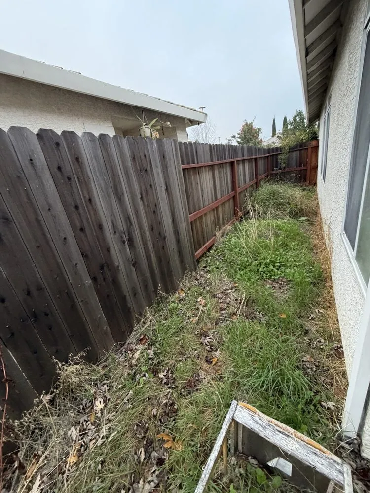 Affordable landscaping services in Sacramento, CA - Wilson Landscape Maintenance Services