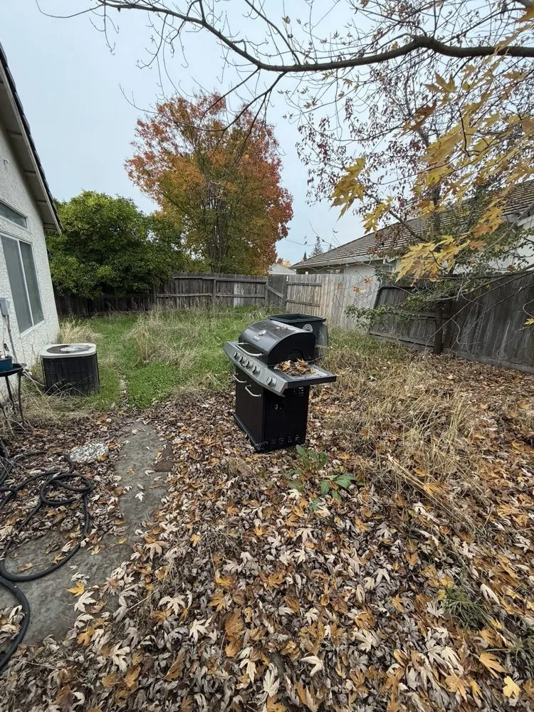 Expert landscape design in Sacramento, CA - Wilson Landscape Maintenance Services