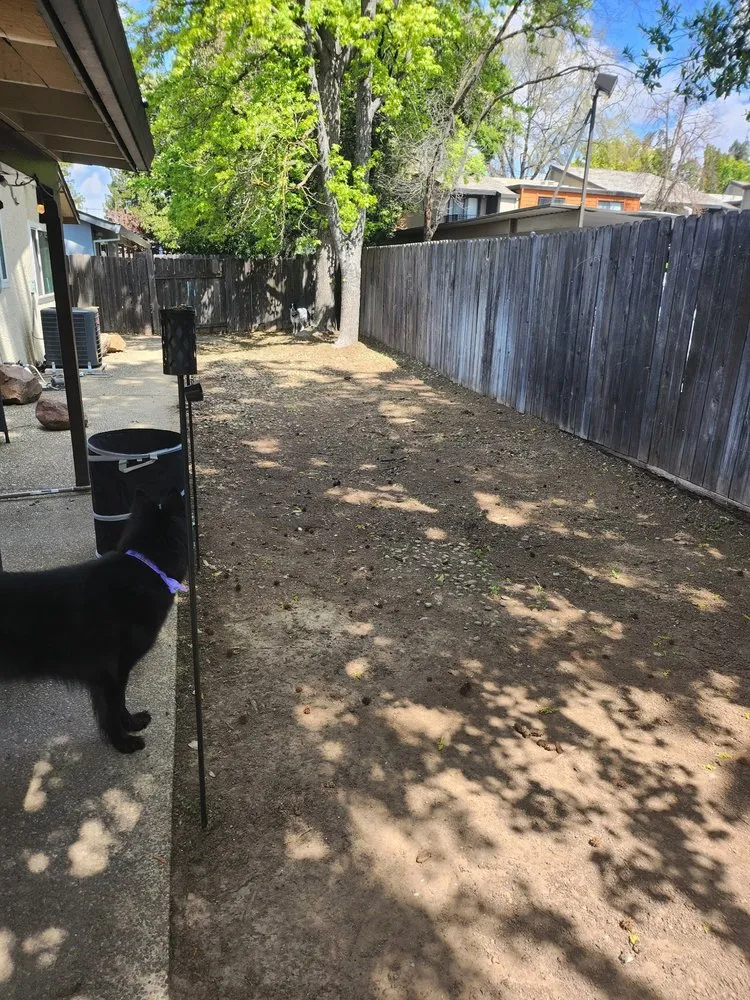 Local residential landscaping in Sacramento, CA by Wilson Landscape Maintenance Services