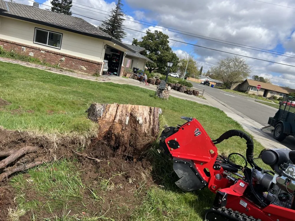 Expert landscaping services experts serving Sacramento, CA - Wilson Landscape Maintenance Services