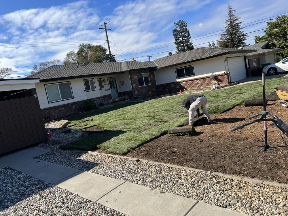 Reliable landscaping services for outdoor upgrades across Sacramento, CA - Wilson Landscape Maintenance Services