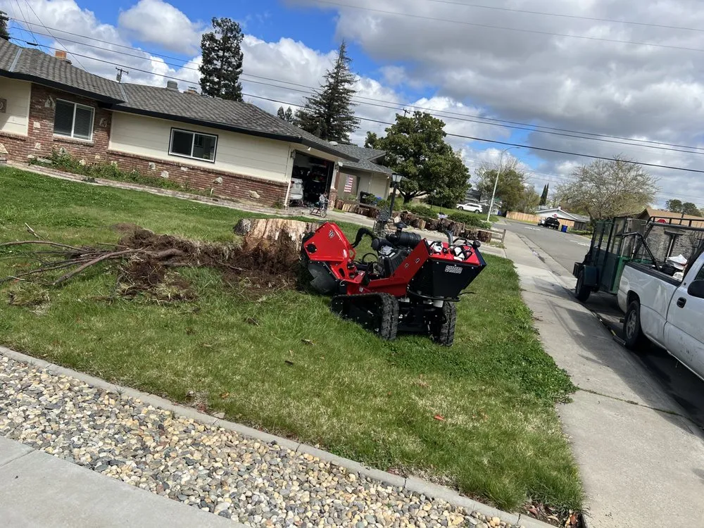 Top-rated outdoor landscaping in Sacramento, CA - Wilson Landscape Maintenance Services