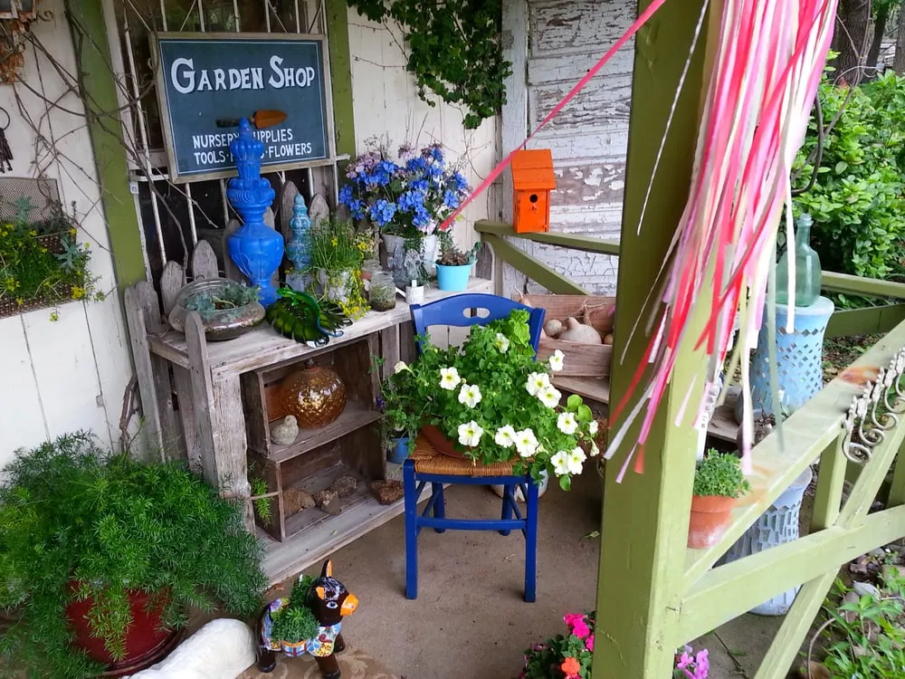 Affordable yard maintenance in Helotes, TX by Wilson Landscape Nursery & Florist