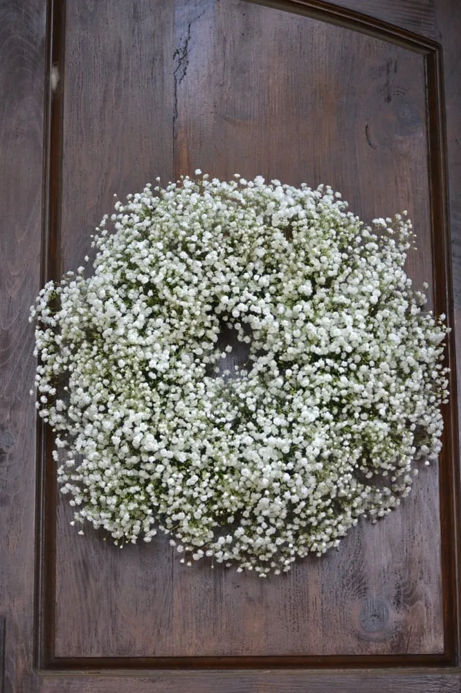 Top-rated yard cleanup service in Helotes, TX by Wilson Landscape Nursery & Florist