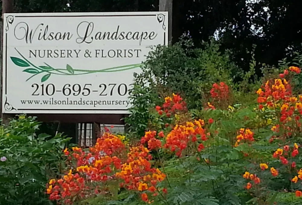 Expert residential landscaping in Helotes, TX by Wilson Landscape Nursery & Florist