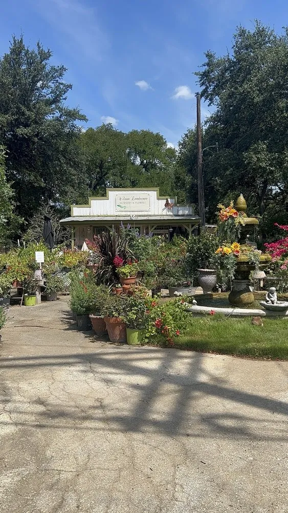 Trusted landscape installation in Helotes, TX - Wilson Landscape Nursery & Florist