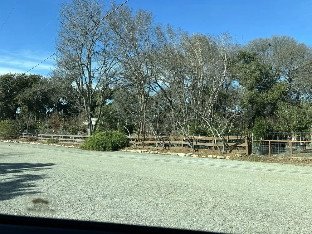 Affordable lawn mowing service in Helotes, TX by Wilson Landscape Nursery & Florist