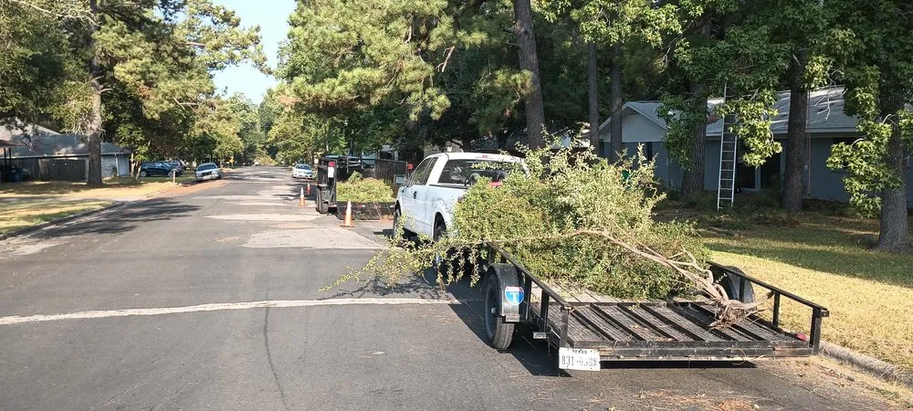 Custom landscape installation in Houston, TX by Wilson Landscaping & Tree Services