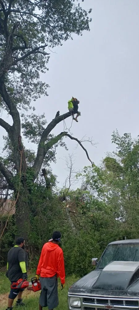 Professional outdoor landscaping near you in Houston, TX by Wilson Landscaping & Tree Services