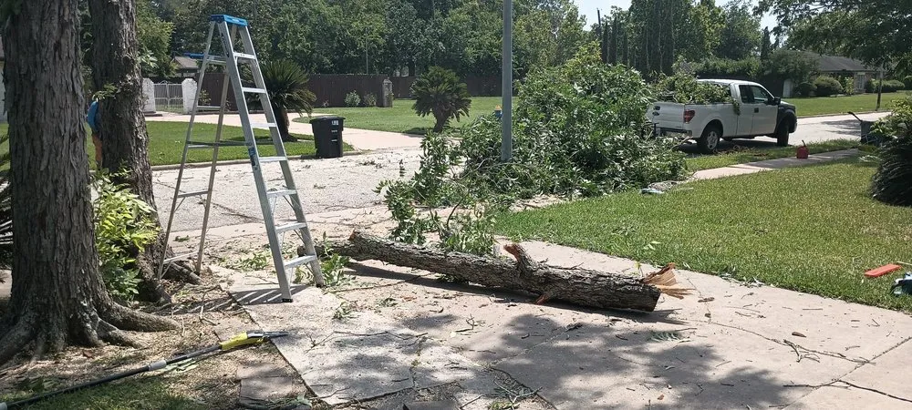 Custom residential landscaping in Houston, TX by Wilson Landscaping & Tree Services