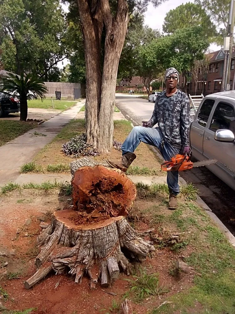 Top-rated garden landscaping near you in Houston, TX by Wilson Landscaping & Tree Services