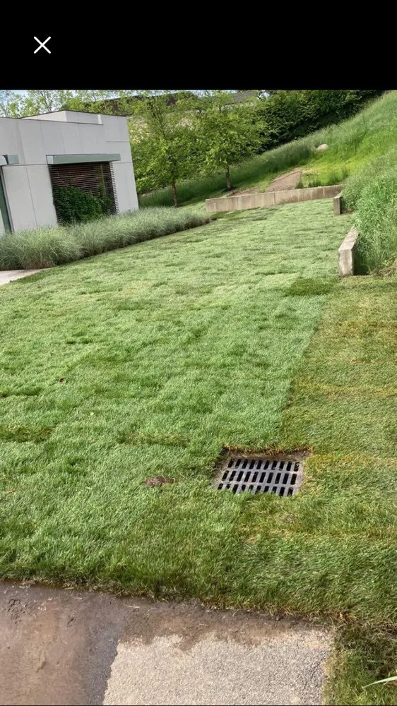 Local landscape design in Beacon, NY - Wilson Landscaping