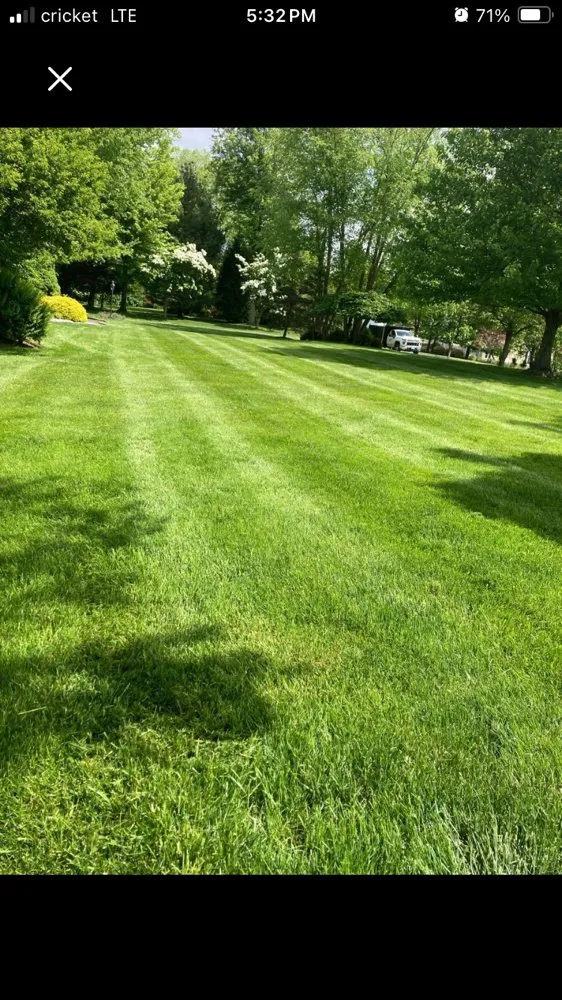 Professional outdoor landscaping experts serving Beacon, NY - Wilson Landscaping