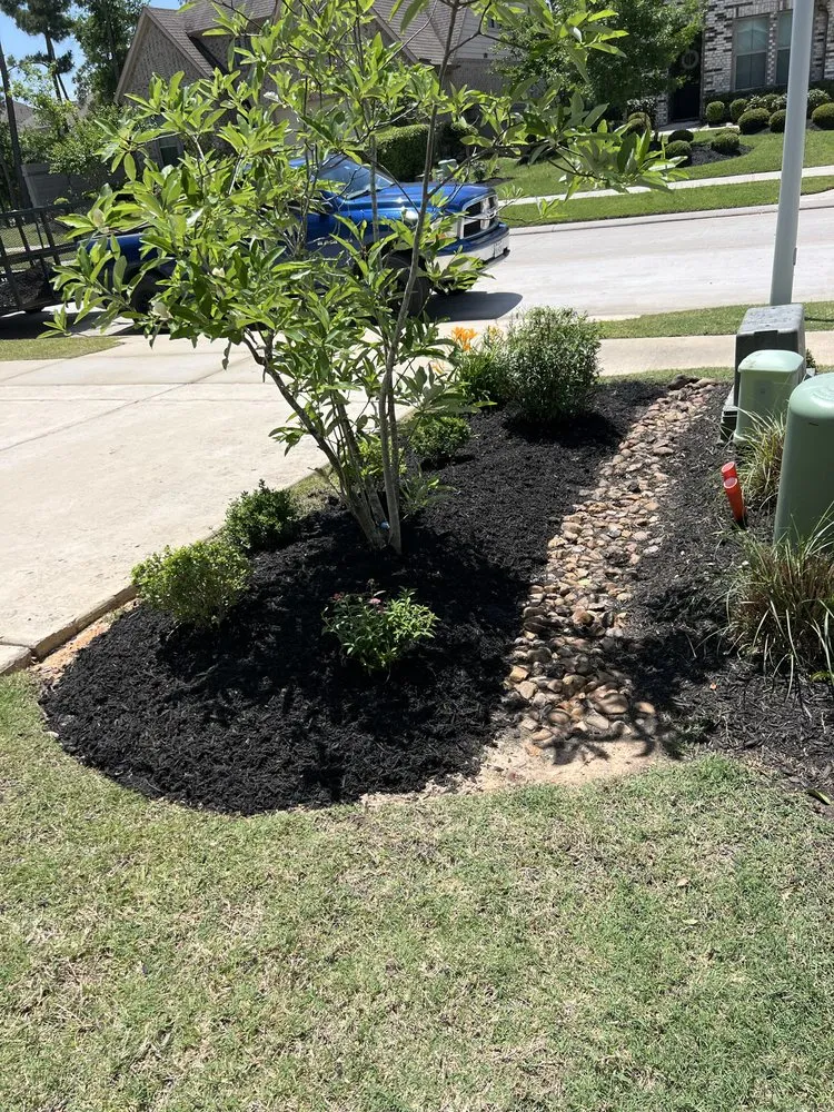 Top-rated lawn care service in Conroe, TX by Wilson Landscaping