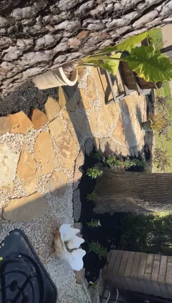 Top-rated landscape design in Conroe, TX - Wilson Landscaping