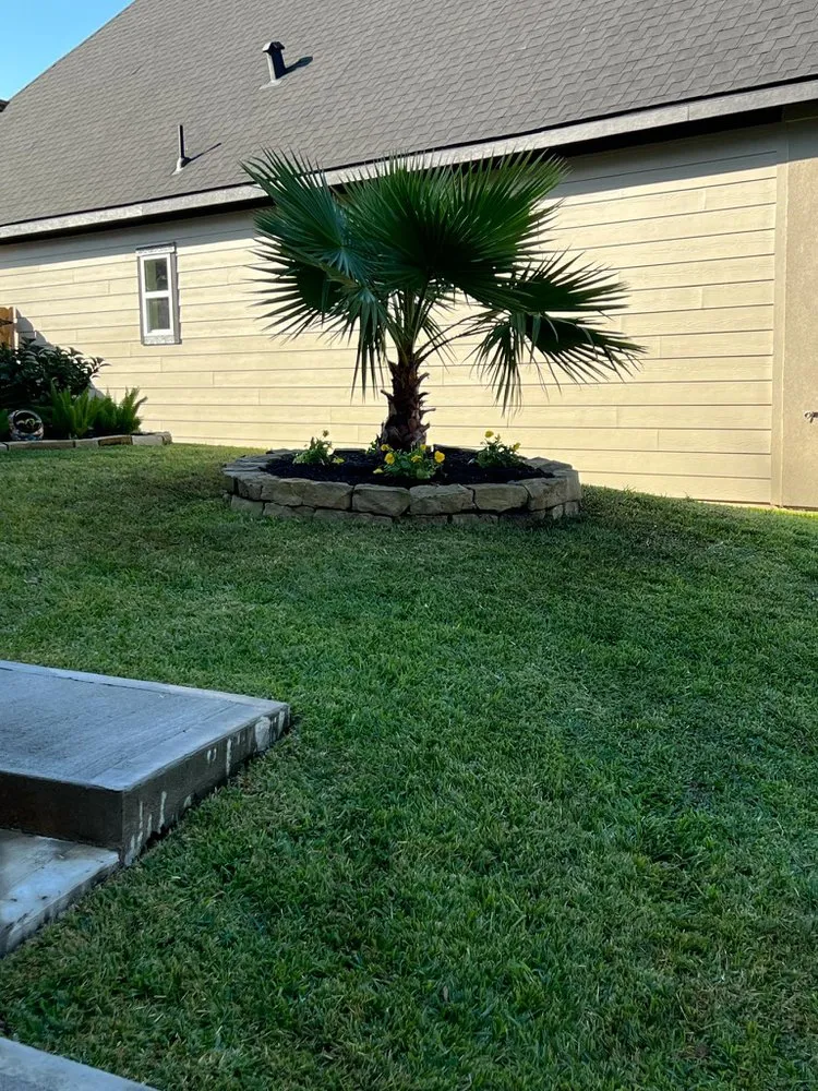 Expert yard cleanup service in Conroe, TX - Wilson Landscaping