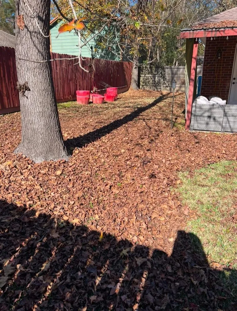 Reliable yard cleanup service in Conroe, TX by Wilson Landscaping