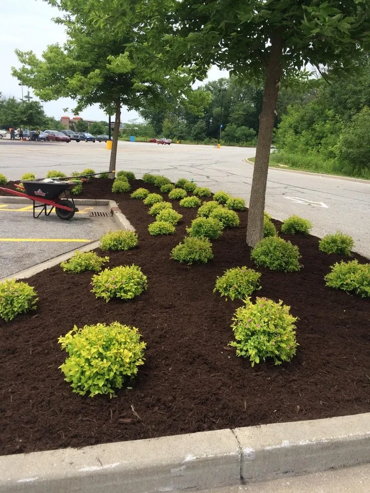 Local lawn care service for year-round maintenance in Joliet, IL by Wilson Landscaping