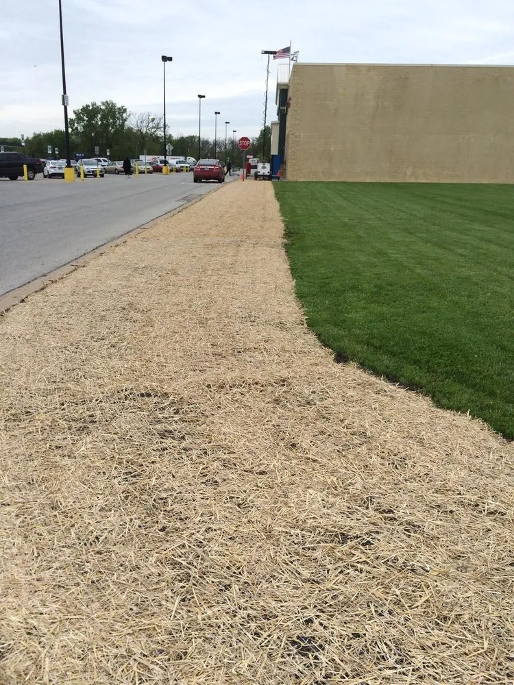 Trusted lawn care service experts serving Joliet, IL - Wilson Landscaping