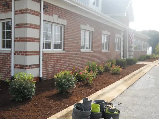 Wilson Landscaping Logo