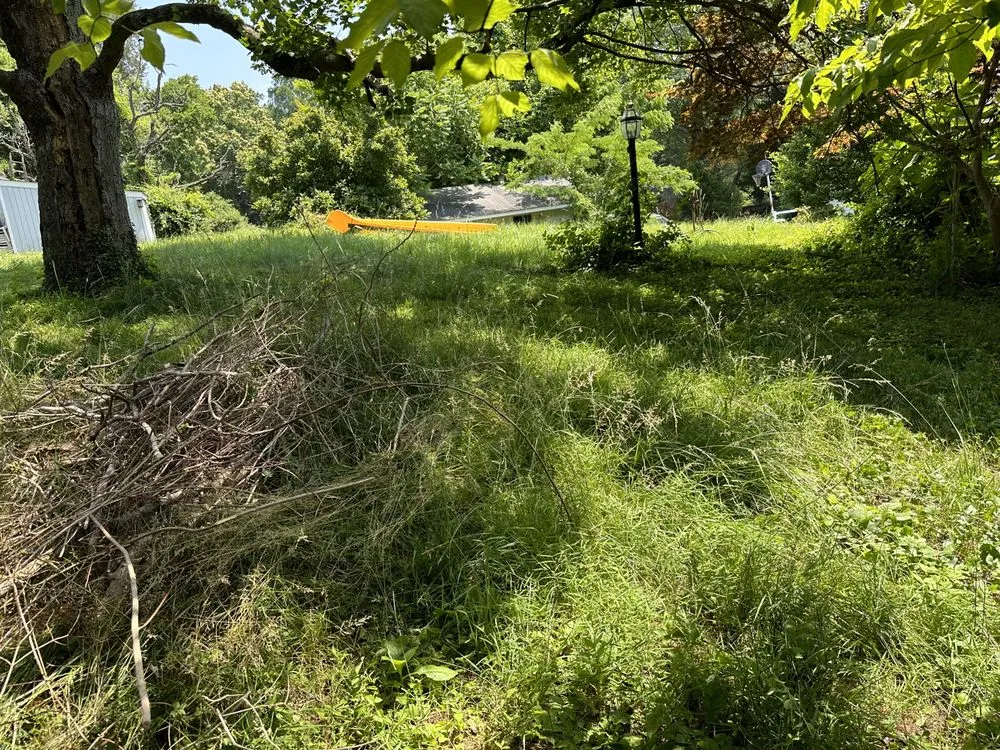 Professional landscape installation for outdoor upgrades across Lanham, MD - Wilson Landscaping