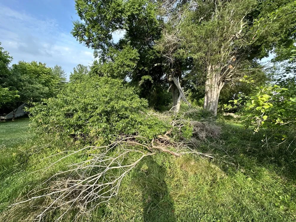 Professional landscape installation experts serving Lanham, MD - Wilson Landscaping