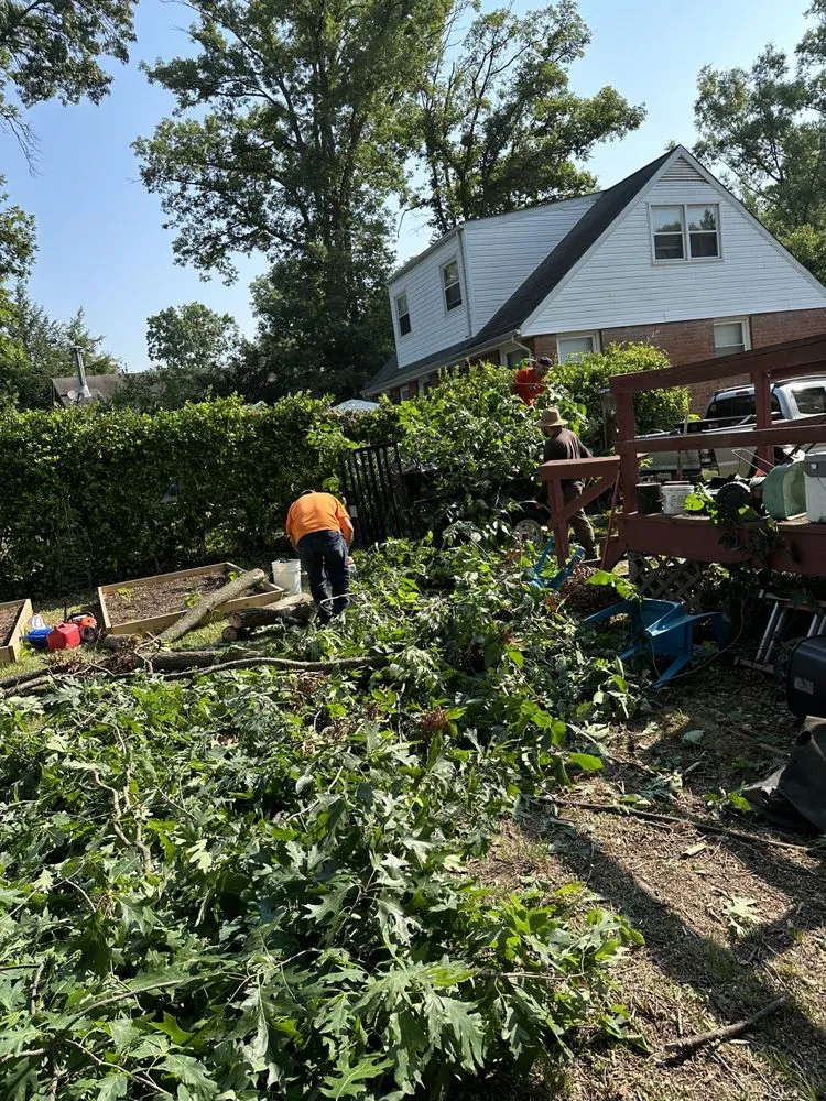 Reliable landscape design in Lanham, MD - Wilson Landscaping