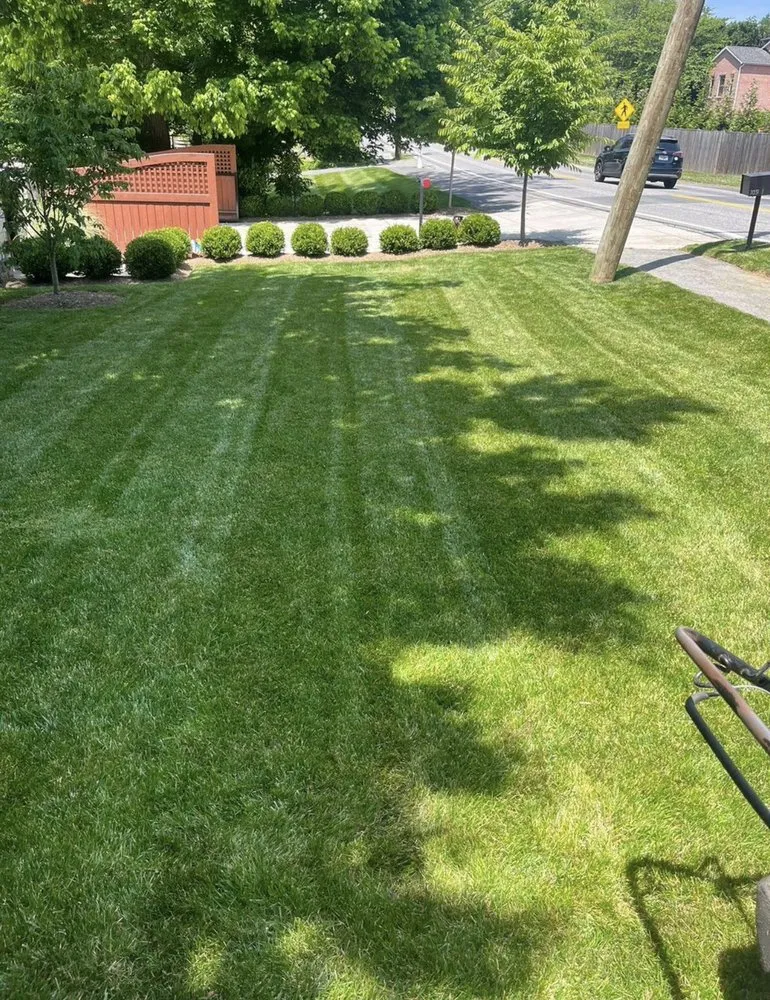 Expert lawn mowing service in Lanham, MD - Wilson Landscaping