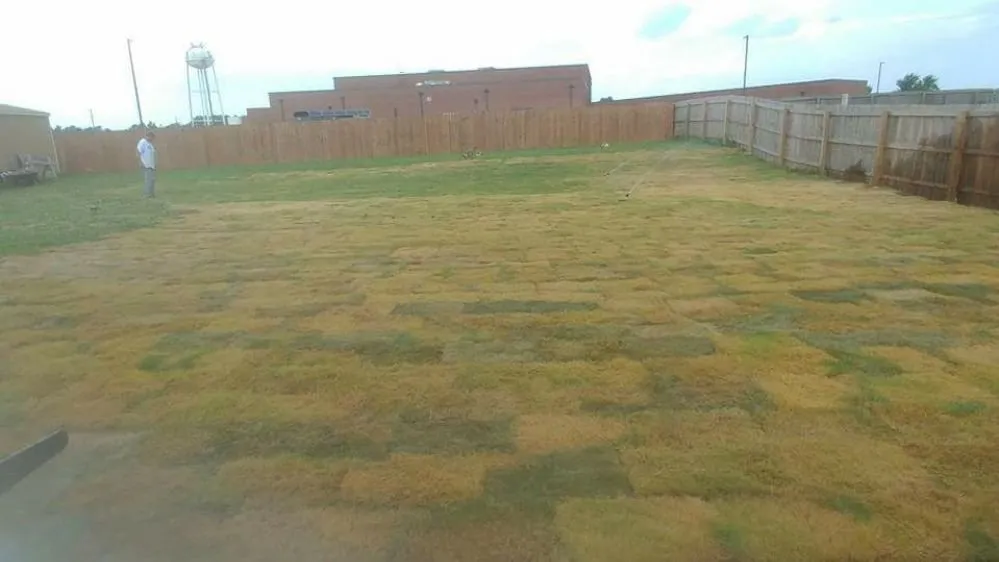 Affordable lawn mowing service with custom design in Memphis, TN by Wilson Landscaping