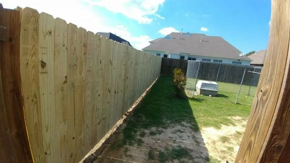 Professional yard cleanup service in Memphis, TN by Wilson Landscaping